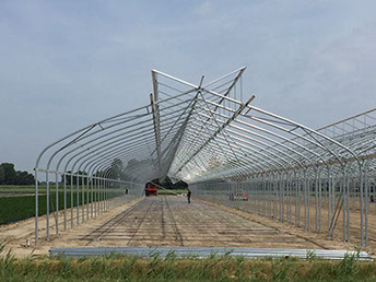 tuinderij bevelander; teelt op water; verse kruiden